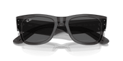 Dark Grey Lenses, Polished Transparent Black Frame