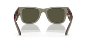 Silver Lenses, Polished Transparent Green Frame