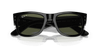 [Green Lenses, Polished Black Frame]