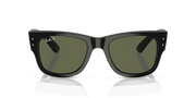 Green Lenses, Polished Black Frame