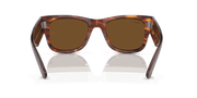 Brown Lenses, Polished Striped Havana Frame