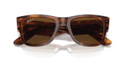 Brown Lenses, Polished Striped Havana Frame