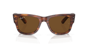 Brown Lenses, Polished Striped Havana Frame