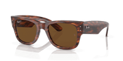 Brown Lenses, Polished Striped Havana Frame