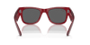 [Dark Grey Lenses, Polished Transparent Red Frame]