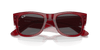 [Dark Grey Lenses, Polished Transparent Red Frame]