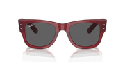 Dark Grey Lenses, Polished Transparent Red Frame