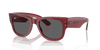 [Dark Grey Lenses, Polished Transparent Red Frame]