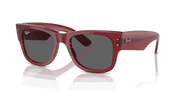 Dark Grey Lenses, Polished Transparent Red Frame