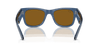 [Brown Lenses, Polished Transparent Blue Frame]