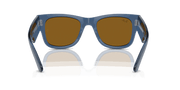 Brown Lenses, Polished Transparent Blue Frame