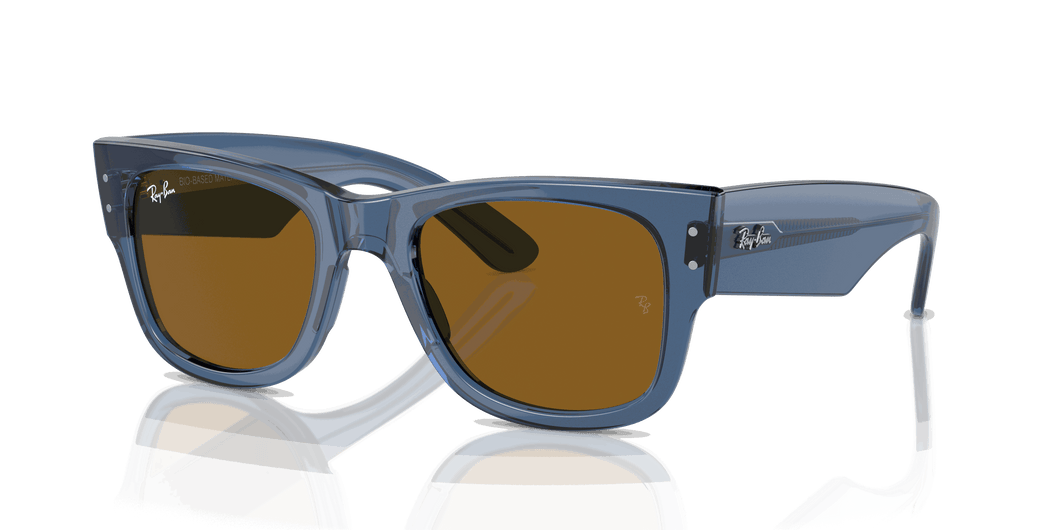 [Brown Lenses, Polished Transparent Blue Frame]