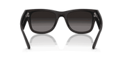 Grey Gradient Polar Lenses, Matte Sand Black Frame