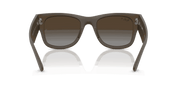 Polar Brown Gradient Lenses, Matte Sand Brown Frame