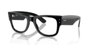 Clear Lenses, Polished Black Frame