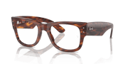 Clear Lenses, Polished Striped Havana Frame