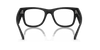 [Clear Lenses, Matte Sand Black Frame]