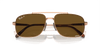 [Brown Lenses, Polished Light Brown Frame]