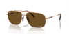 [Brown Lenses, Polished Light Brown Frame]