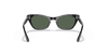 [Dark Green Lenses, Polished Black Frame]