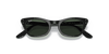 [Dark Green Lenses, Polished Black Frame]