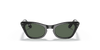 [Dark Green Lenses, Polished Black Frame]