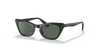 [Dark Green Lenses, Polished Black Frame]