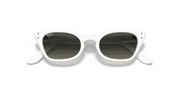 Grey Gradient Lenses, Polished White Frame