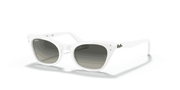 Grey Gradient Lenses, Polished White Frame