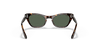 [Dark Green Lenses, Polished Havana Frame]