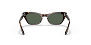 Dark Green Lenses, Polished Havana Frame