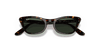 [Dark Green Lenses, Polished Havana Frame]