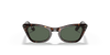 [Dark Green Lenses, Polished Havana Frame]