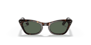 Dark Green Lenses, Polished Havana Frame