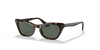 [Dark Green Lenses, Polished Havana Frame]