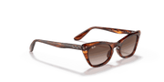 Gradient Brown Lenses, Polished Striped Havana Frame