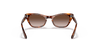 [Gradient Brown Lenses, Polished Striped Havana Frame]