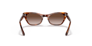 Gradient Brown Lenses, Polished Striped Havana Frame