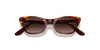 [Gradient Brown Lenses, Polished Striped Havana Frame]