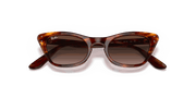 Gradient Brown Lenses, Polished Striped Havana Frame