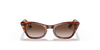 [Gradient Brown Lenses, Polished Striped Havana Frame]