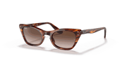 Gradient Brown Lenses, Polished Striped Havana Frame