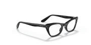 Clear Lenses, Polished Black Frame