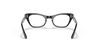 [Clear Lenses, Polished Black Frame]