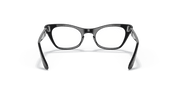 Clear Lenses, Polished Black Frame