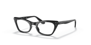 Clear Lenses, Polished Black Frame