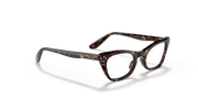 Clear Lenses, Polished Havana Frame