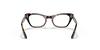 [Clear Lenses, Polished Havana Frame]