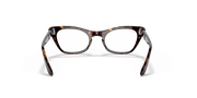 Clear Lenses, Polished Havana Frame