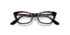 [Clear Lenses, Polished Havana Frame]